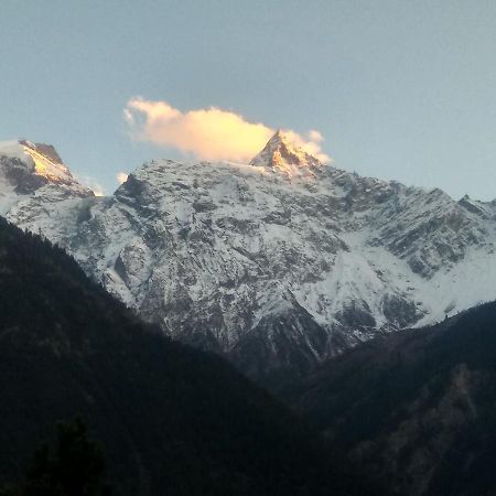 Wanderers Homestay -All Mountain Facing Rooms Kalpa Buitenkant foto