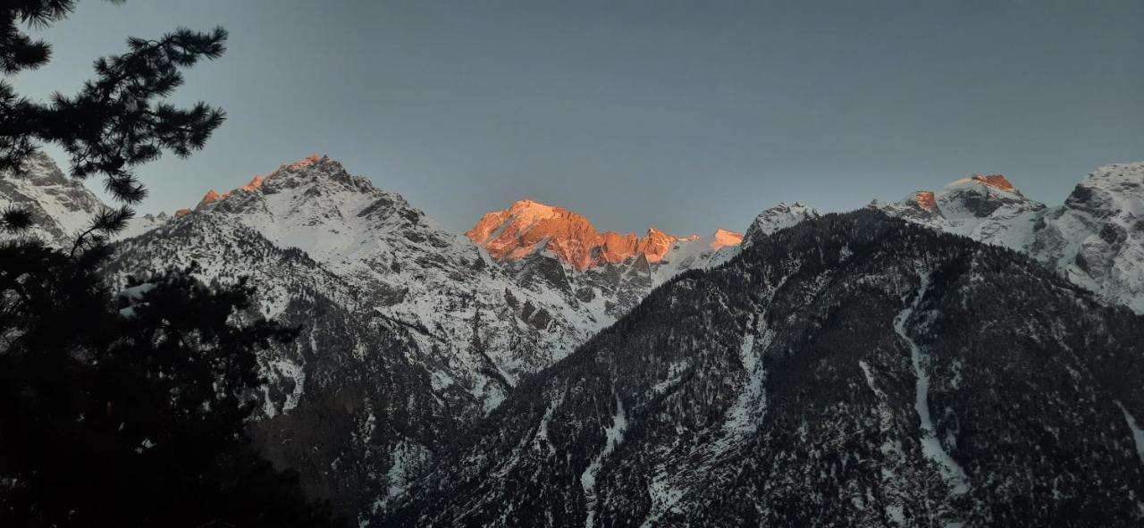 Wanderers Homestay -All Mountain Facing Rooms Kalpa Buitenkant foto