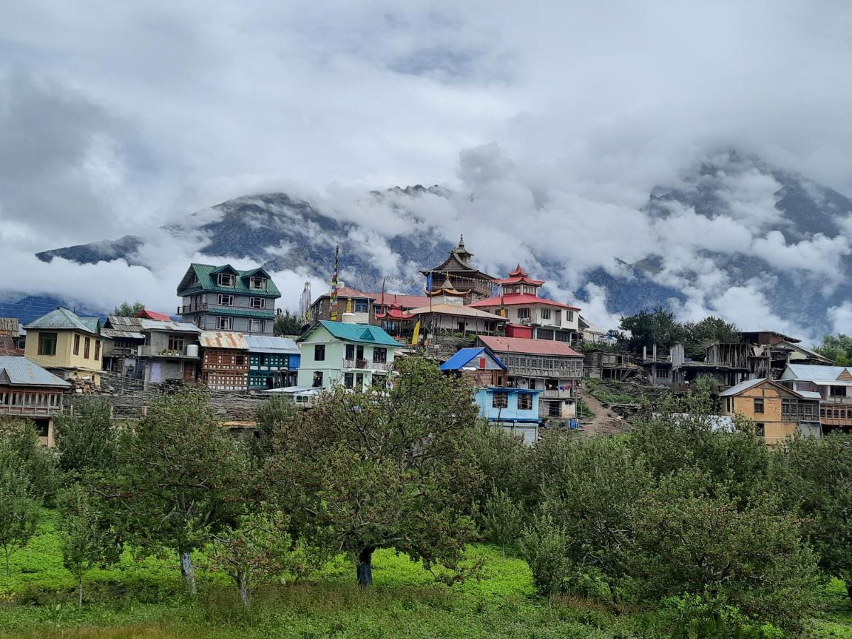 Wanderers Homestay -All Mountain Facing Rooms Kalpa Buitenkant foto