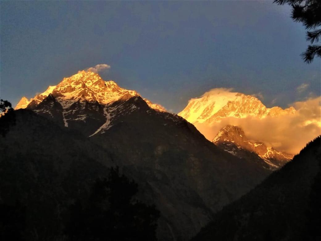 Wanderers Homestay -All Mountain Facing Rooms Kalpa Buitenkant foto