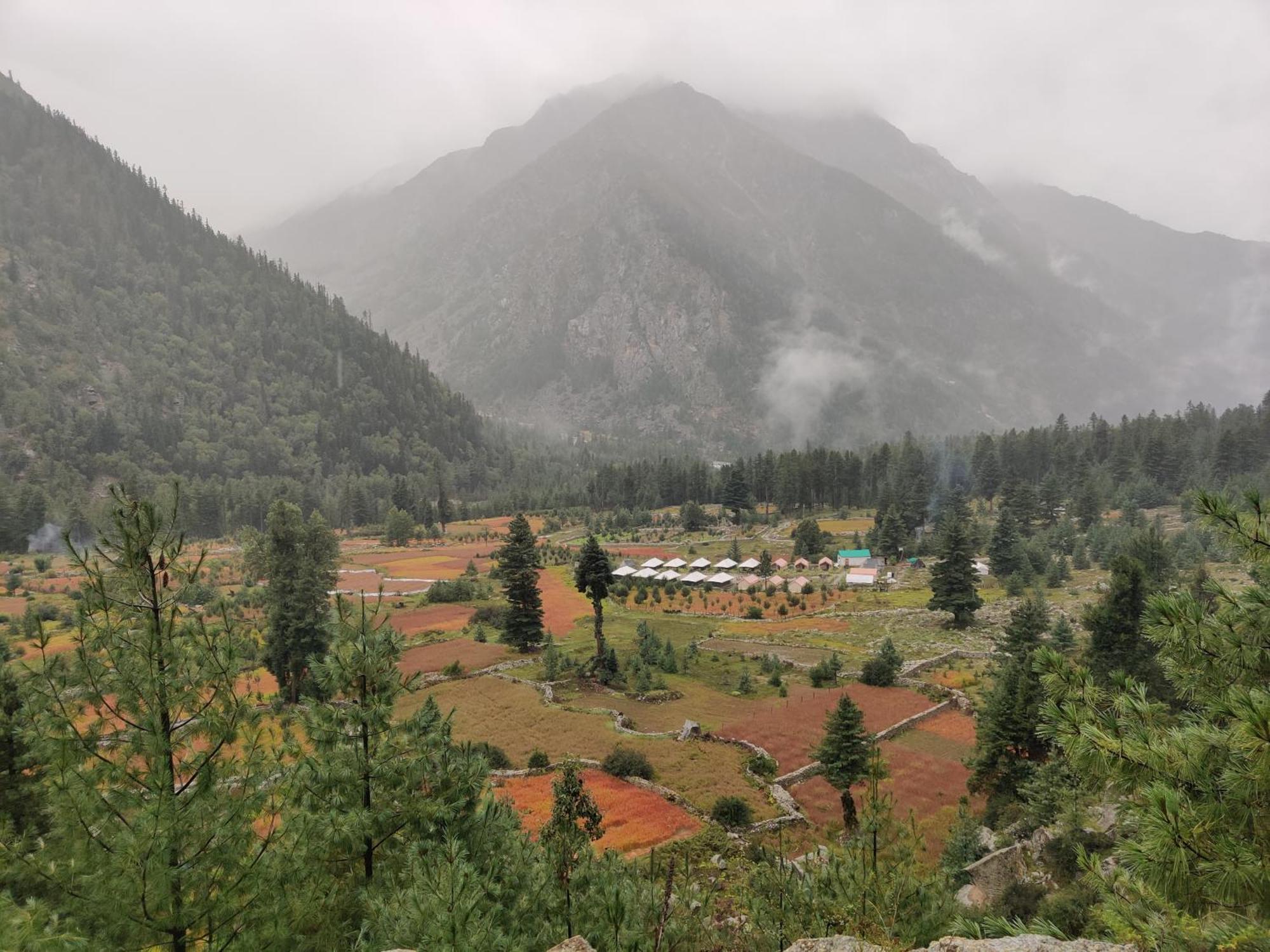 Wanderers Homestay -All Mountain Facing Rooms Kalpa Buitenkant foto